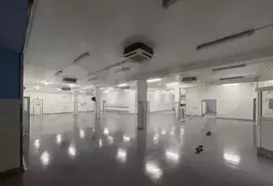 Фото к объявлению #21113080