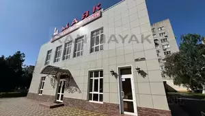 Фото к объявлению #22278572