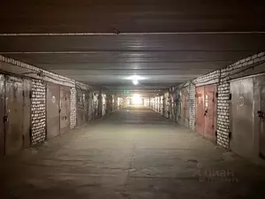 Фото к объявлению #22181165