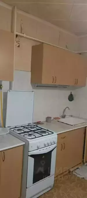 Фото к объявлению #21902375