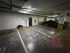 Фото к объявлению #22184674