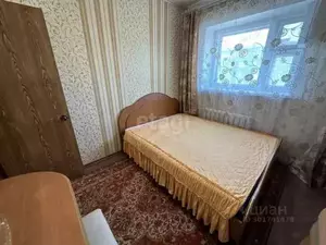Фото к объявлению #20354497
