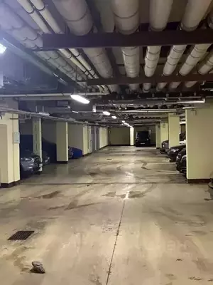 Фото к объявлению #21379988