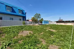 Фото к объявлению #22243802