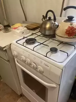 Фото к объявлению #19754487