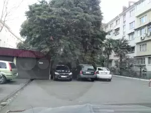 Фото к объявлению #21104046