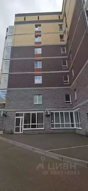 Фото к объявлению #21562823