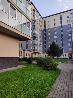 Фото к объявлению #22141354