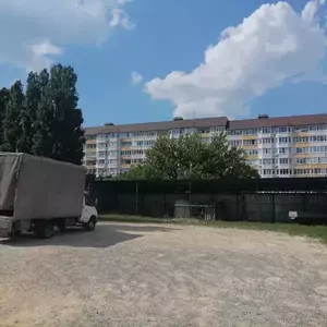 Фото к объявлению #21236300