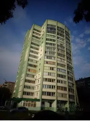 Фото к объявлению #22181852