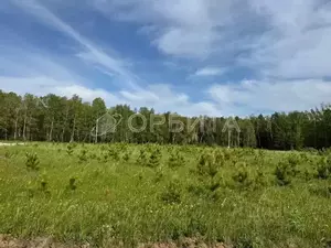 Фото к объявлению #22265011