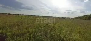 Фото к объявлению #22140399