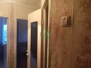 Фото к объявлению #21285516