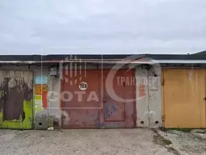 Фото к объявлению #22208422