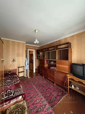 Фото к объявлению #21176583