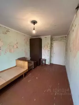 Фото к объявлению #22243990