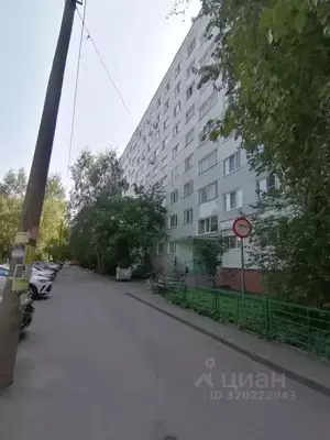 Фото к объявлению #22205038