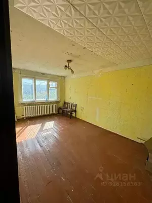 Фото к объявлению #22058969