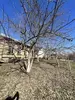 Фото к объявлению #