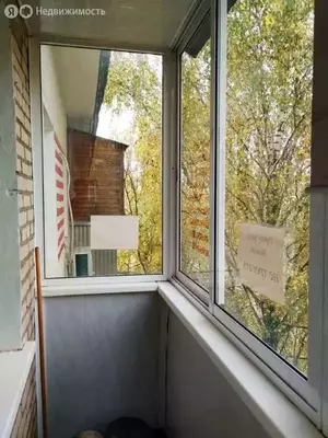 Фото к объявлению #21243946