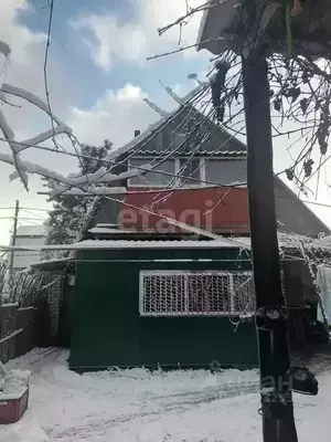 Фото к объявлению #22038308