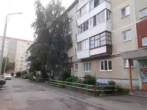 Фото к объявлению #20533797