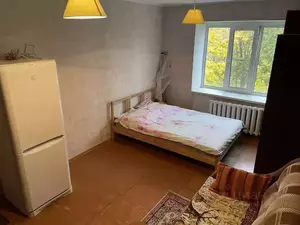 Фото к объявлению #21929139