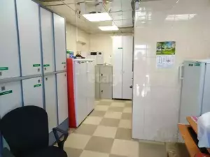 Фото к объявлению #20162662