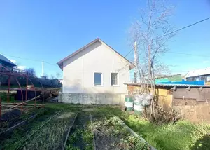 Фото к объявлению #21312386