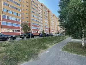 Фото к объявлению #20667202