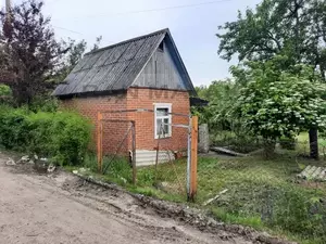 Фото к объявлению #22180483