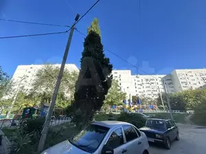 Фото к объявлению #21415537