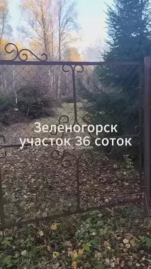 Фото к объявлению #22214745