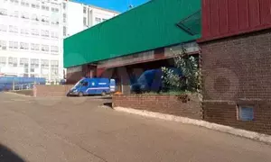 Фото к объявлению #21117174