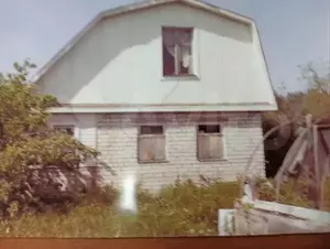 Фото к объявлению #22043395