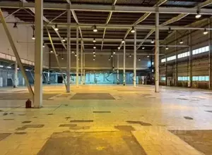 Фото к объявлению #22218881