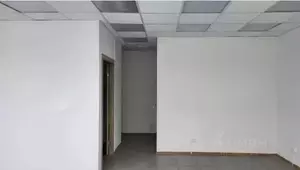 Фото к объявлению #22014493