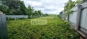 Фото к объявлению #21704715