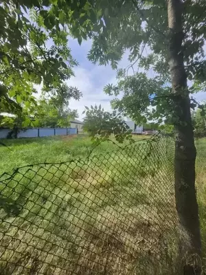 Фото к объявлению #22216514