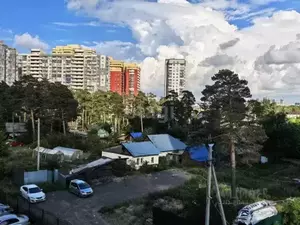 Фото к объявлению #20334086