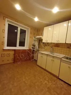 Фото к объявлению #21580052