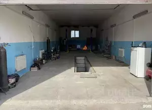 Фото к объявлению #22066045