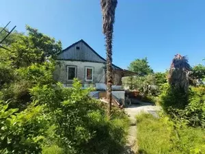 Фото к объявлению #20251846