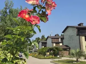 Фото к объявлению #22204124