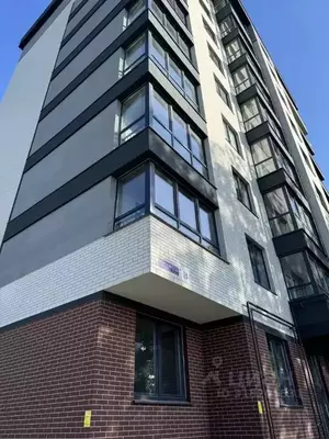 Фото к объявлению #22199344