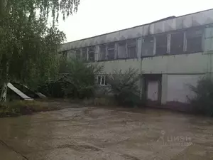Фото к объявлению #21442986