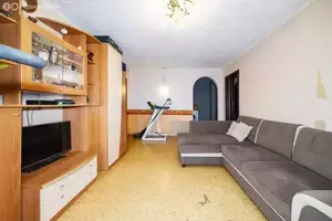 Фото к объявлению #20877864