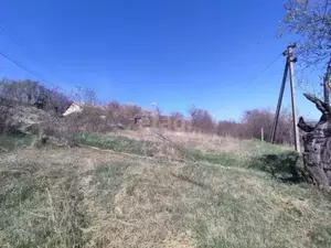 Фото к объявлению #21035897