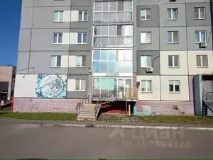Фото к объявлению #21082691