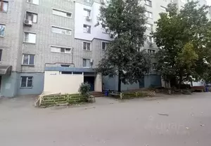 Фото к объявлению #21667534